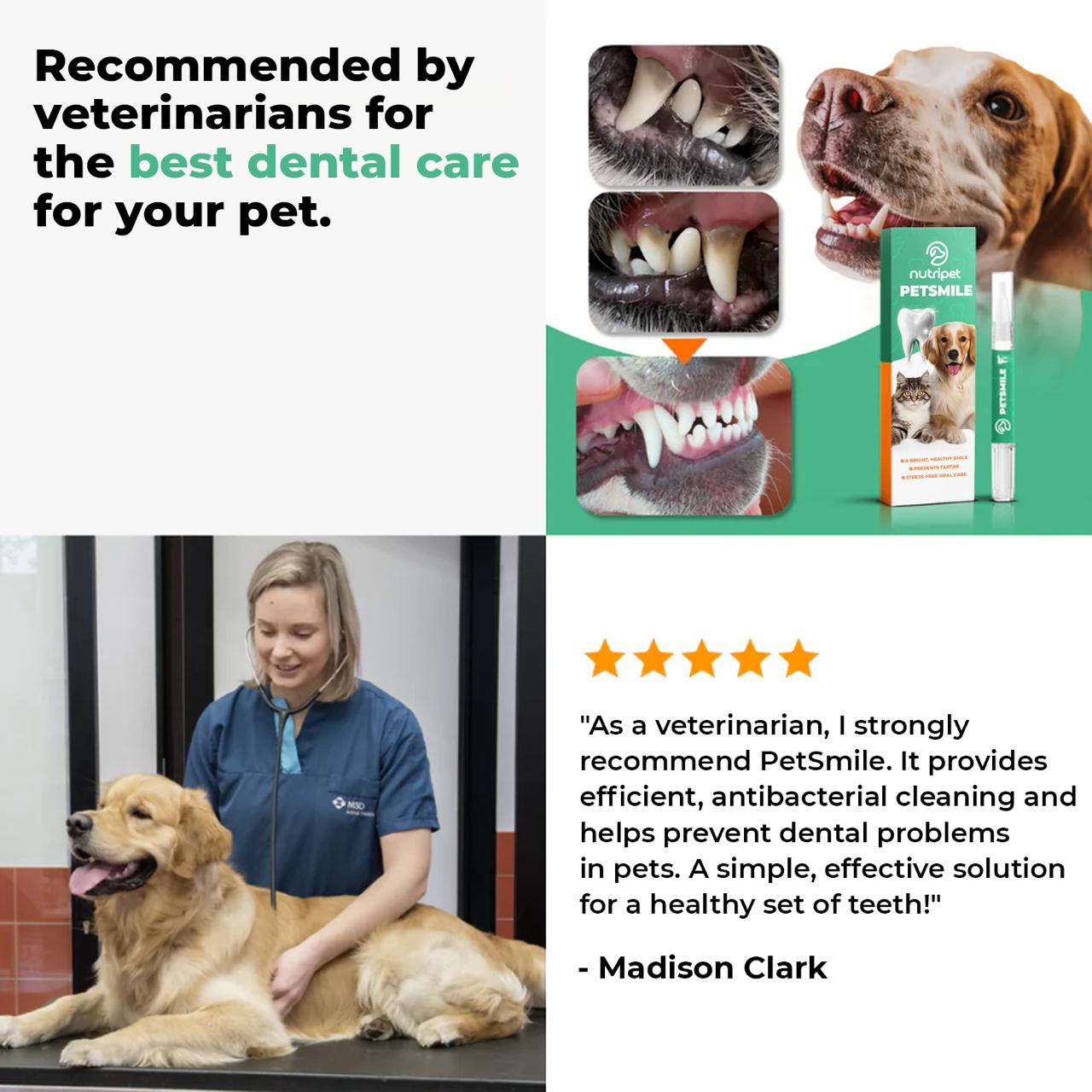 PetSmile™ | Say goodbye to plaque and bad breath!