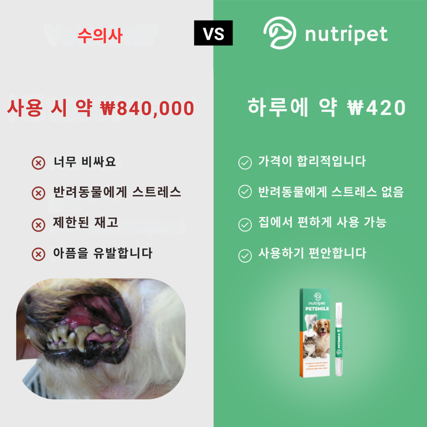 PetSmile | 플라그와 불쾌한 입냄새와 작별하세요!