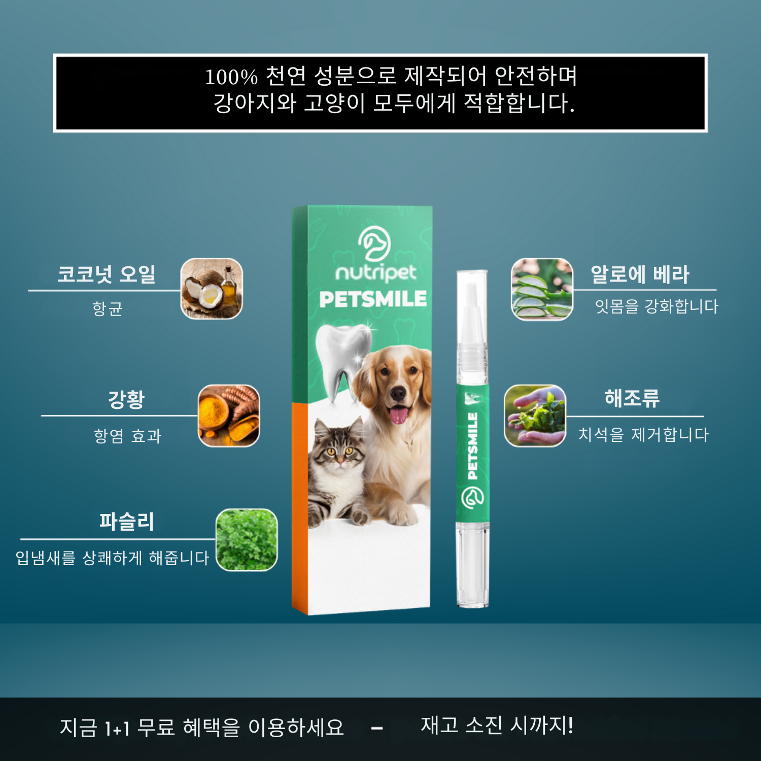 PetSmile | 플라그와 불쾌한 입냄새와 작별하세요!